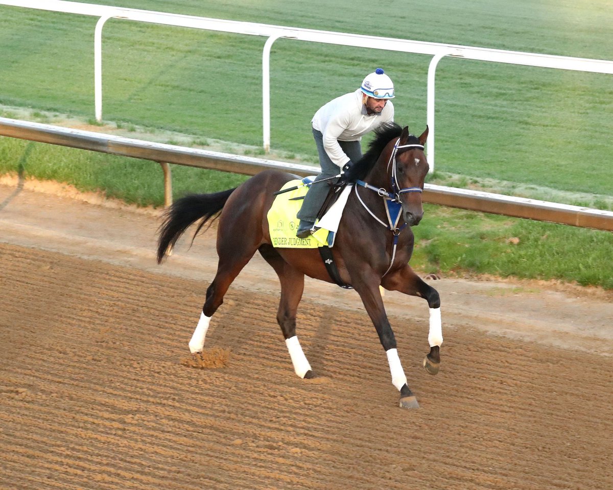 Shock_Ink_'s tweet photo. A lifelong dream is coming true - Render Judgment, @tobykeith’s horse, is heading to the Kentucky Derby! Don’t miss the race on Saturday, May 3!

https://t.co/Rnxqn7eMyE

#tobykeith #kentuckyderby #racing https://t.co/G8s9arktPI