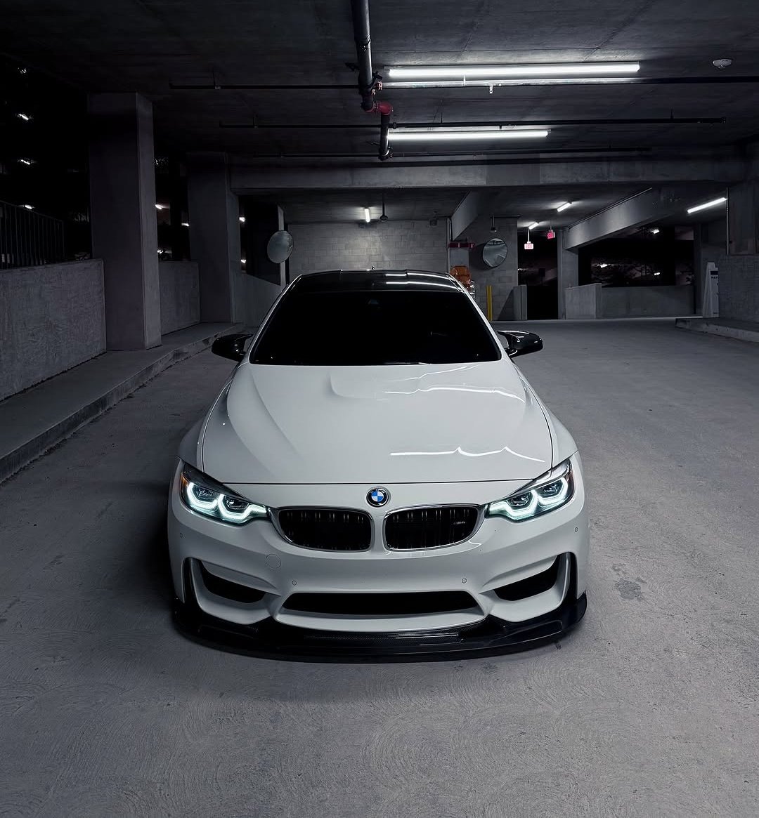 BMW F82 M4 🇩🇪