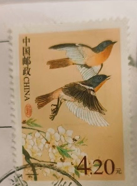 yan90893063's tweet photo. 怎么感觉工作人员随手贴的比网上卖的好看…… https://t.co/5SKk6HQGlD