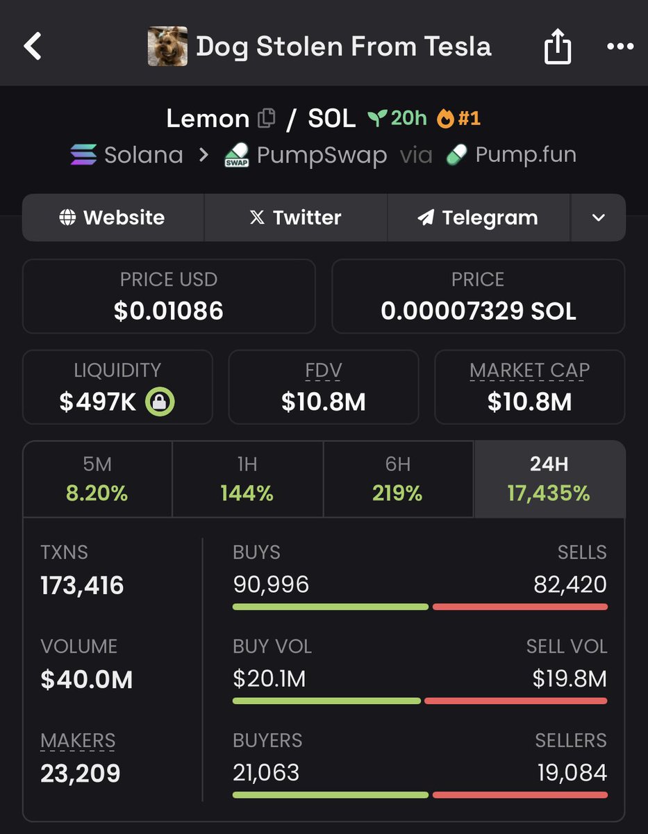 10M+ for the cute dog $lemon 🍋