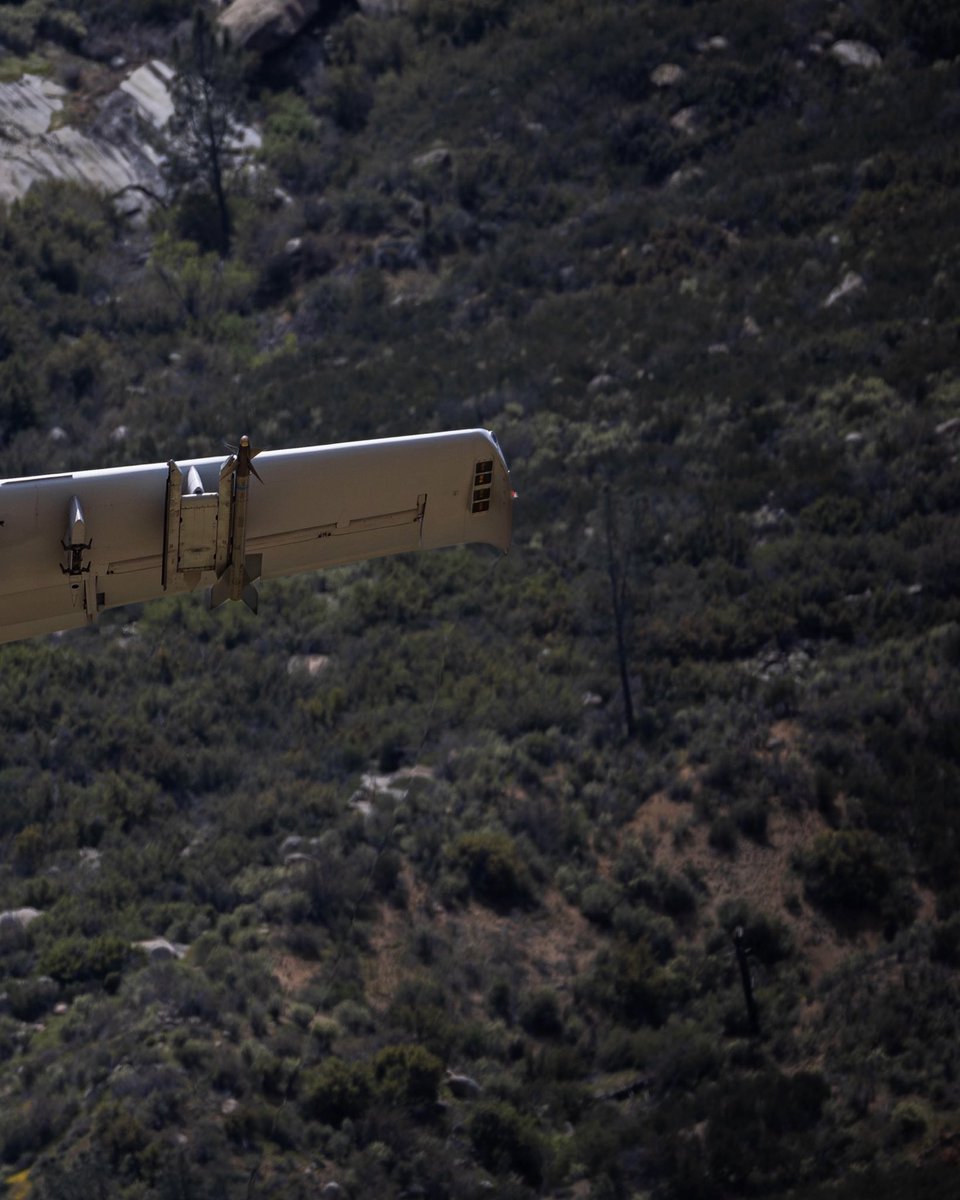 JarodMHamilton's tweet image. Look at that mug! 
#A10 #A10warthog #A10Thunderbolt