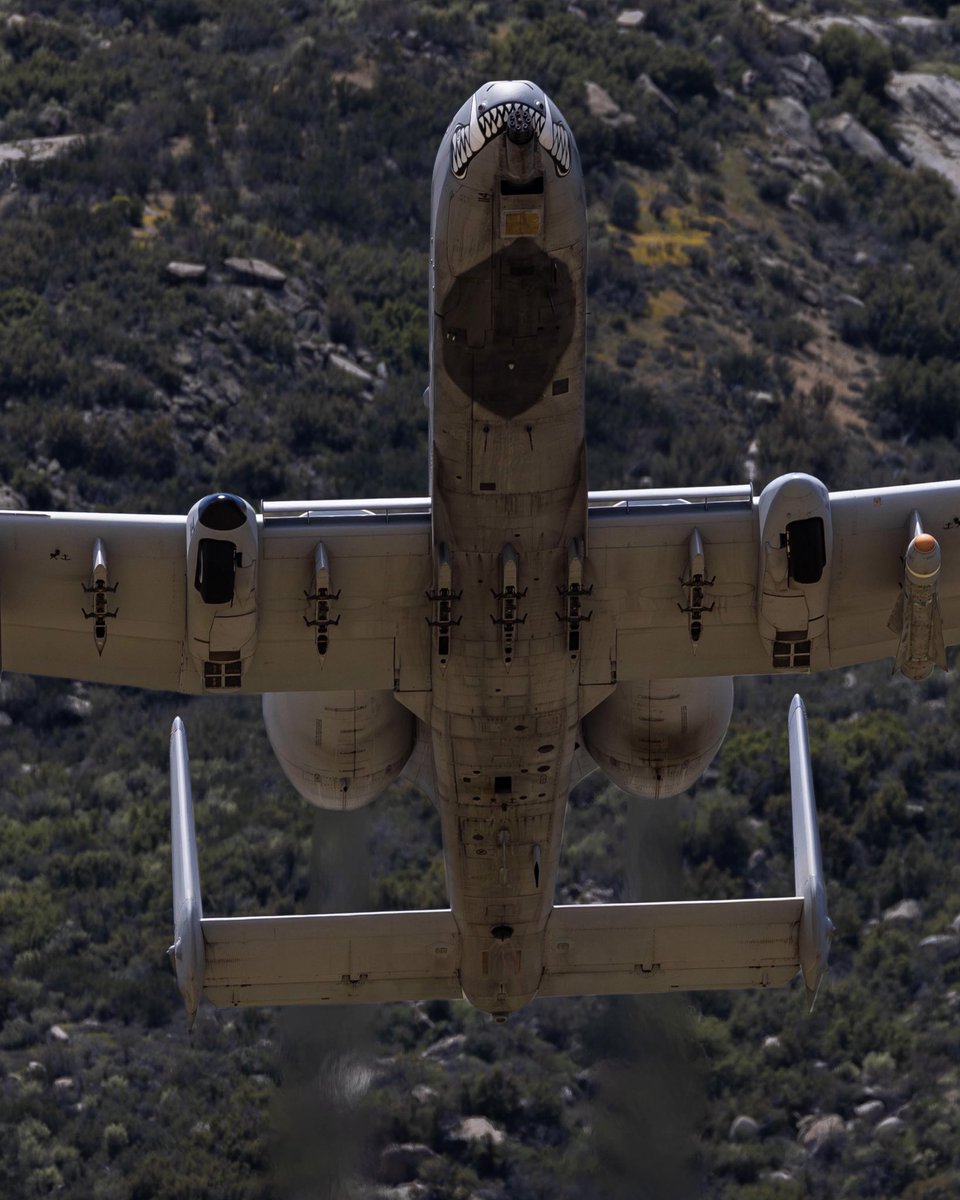 JarodMHamilton's tweet image. Look at that mug! 
#A10 #A10warthog #A10Thunderbolt
