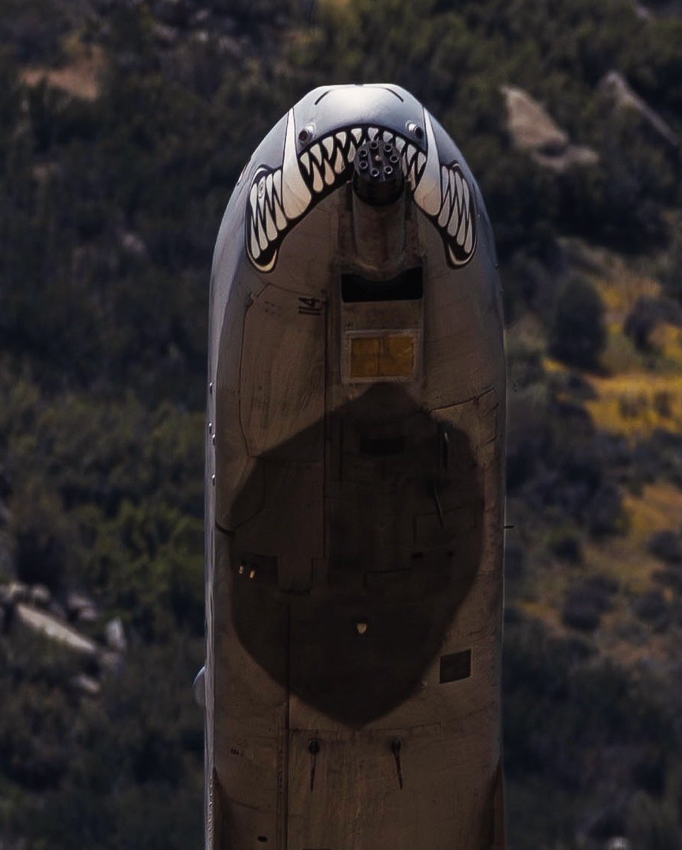 JarodMHamilton's tweet image. Look at that mug! 
#A10 #A10warthog #A10Thunderbolt