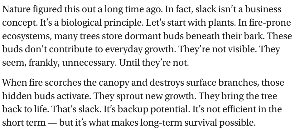 Today I'm sharing a personal essay I wrote in <a href="/bigthink/">Big Think</a> about a very simple concept: 

The importance of having slack across your life

It may be the one concept that is at the heart of all longevity