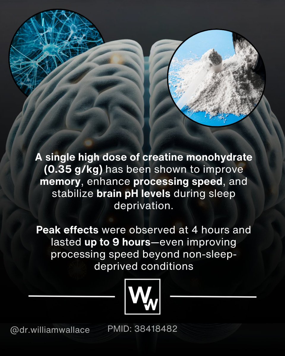 Recently published data suggests that a single high dose of creatine (0.35g/kg) improves cognitive performance and processing speed during sleep deprivation.

The effects of creatine supplementation for its ergogenic benefits regarding sports performance are well recognized. More
