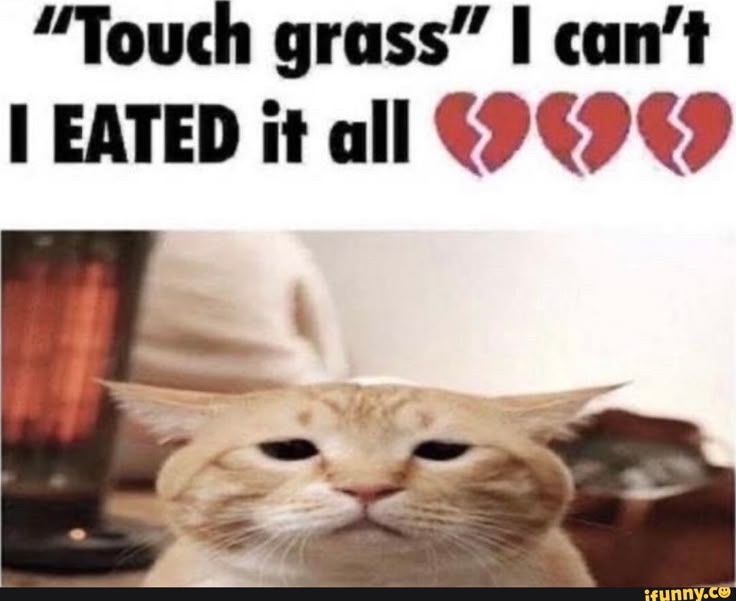Baaphomet🖤🐑✝️ tweet media
