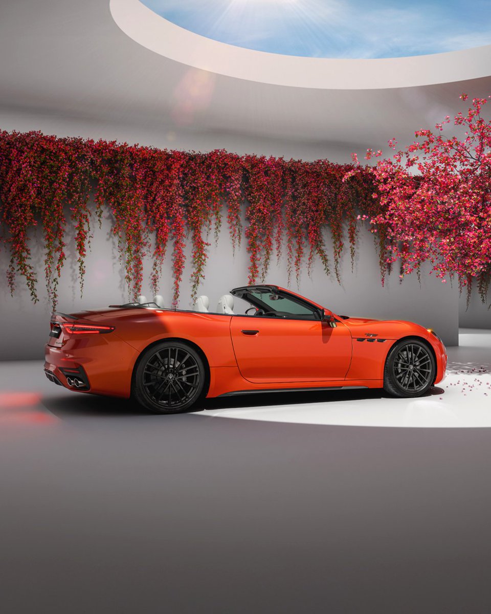 This is what happens when Devil Orange dresses like power. ​
#MaseratiGranCabrio #Maserati
