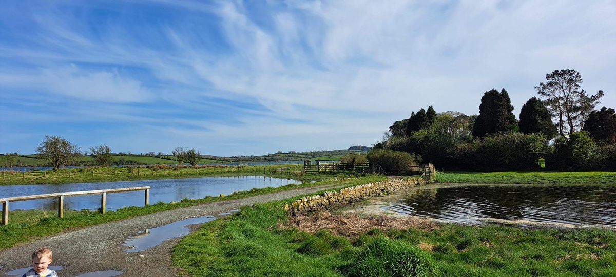 NT Strangford Lough tweet media