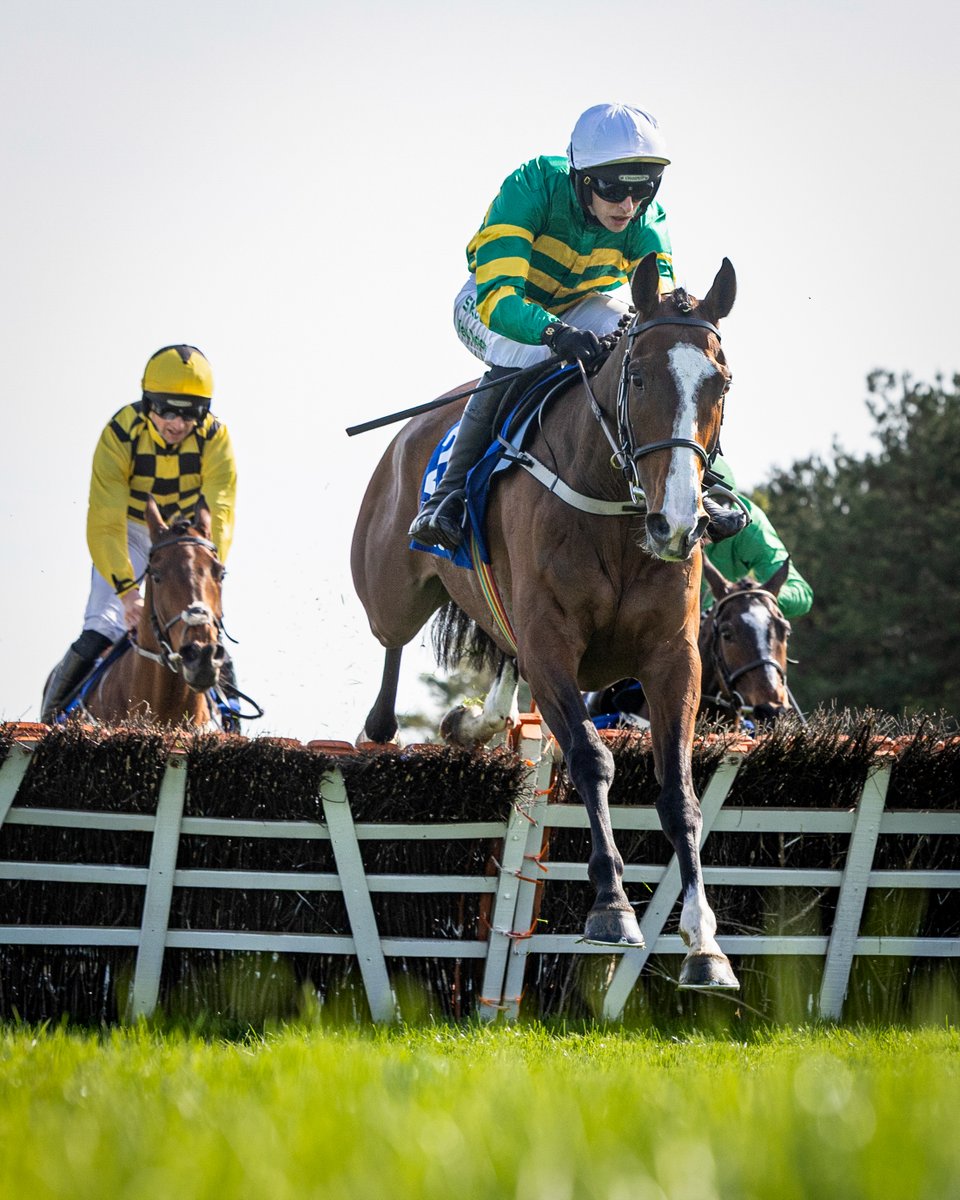 G1 winner for <a href="/blackrathstud/">Blackrath Stud</a> stallion Saddex as <a href="/WillieMullinsNH/">Willie Mullins</a> IRANCY scores in Champion Novice Hurdle at <a href="/punchestownrace/">Punchestown</a>. 😎

Breakthrough top-level success for the JP McManus-owned 7yo. Mark Walsh in the plate. 🟢🟡