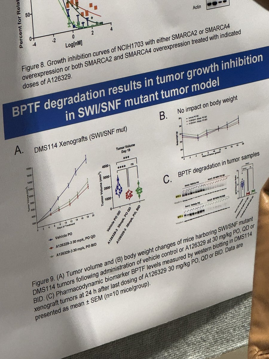 Poster session #TPD findings at #AACR25: Pfizer/Arvinas introducing an oral BPTF #PROTAC (binding to its bromodomain) with activity against SWI/SNF mutated tumors. Apparently hijacking CRBN and VHL with two different degrader lead series. <a href="/ArvinasInc/">Arvinas</a> <a href="/pfizer/">Pfizer Inc.</a> <a href="/AACR/">AACR</a>