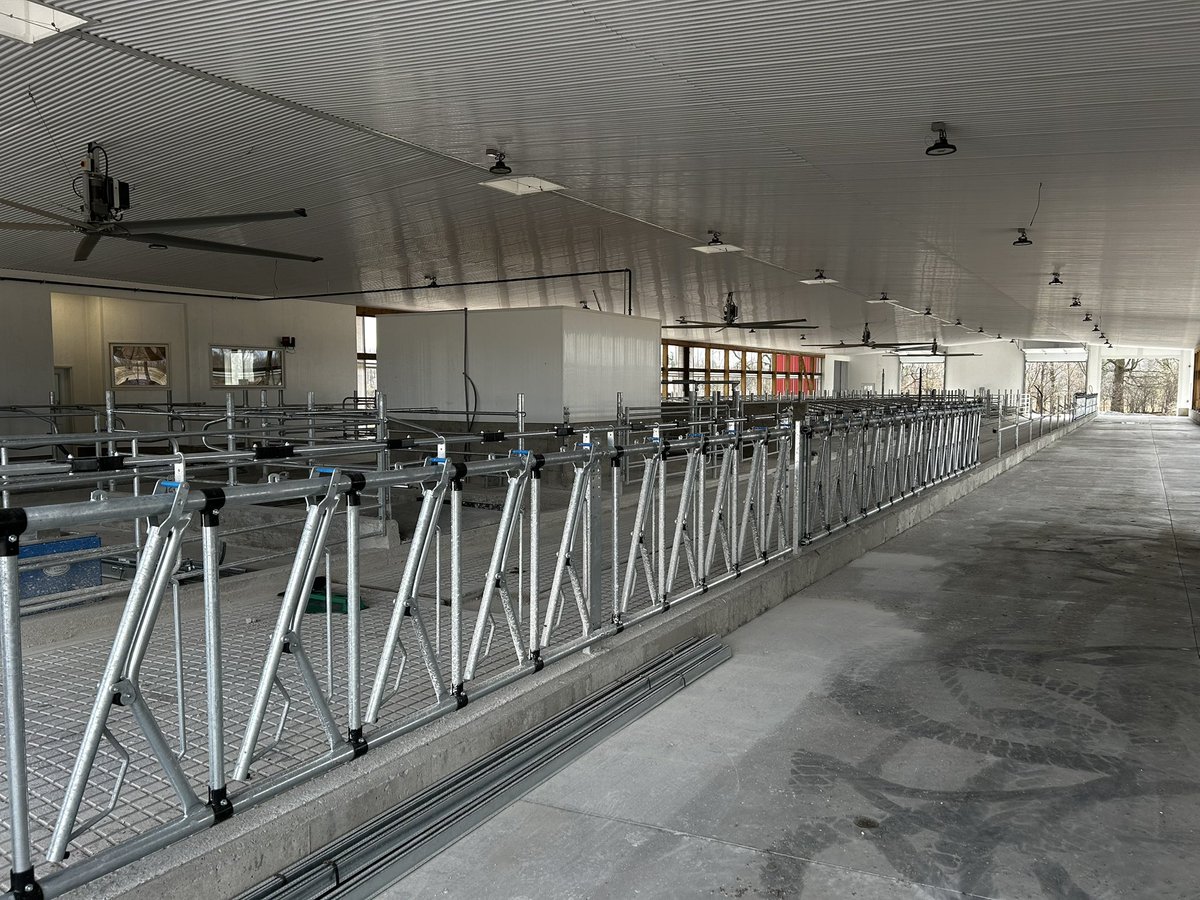 Mike MacLean tweet media