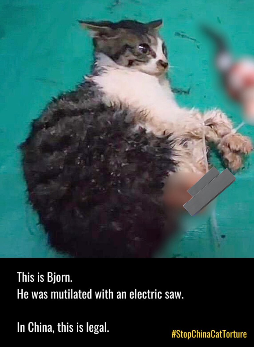 001blacksheep's tweet photo. Here are a few places where you can pressure the peoples republic of china to enact #Animal welfare laws and impose harsh punishments on those who torture and kill Animals.
Real #china
#SavechineseCats 💔
#stopyulin
#boycottchina
Real #chineseculture https://t.co/S9egmbJXiW https://t.co/whI9wVabdW