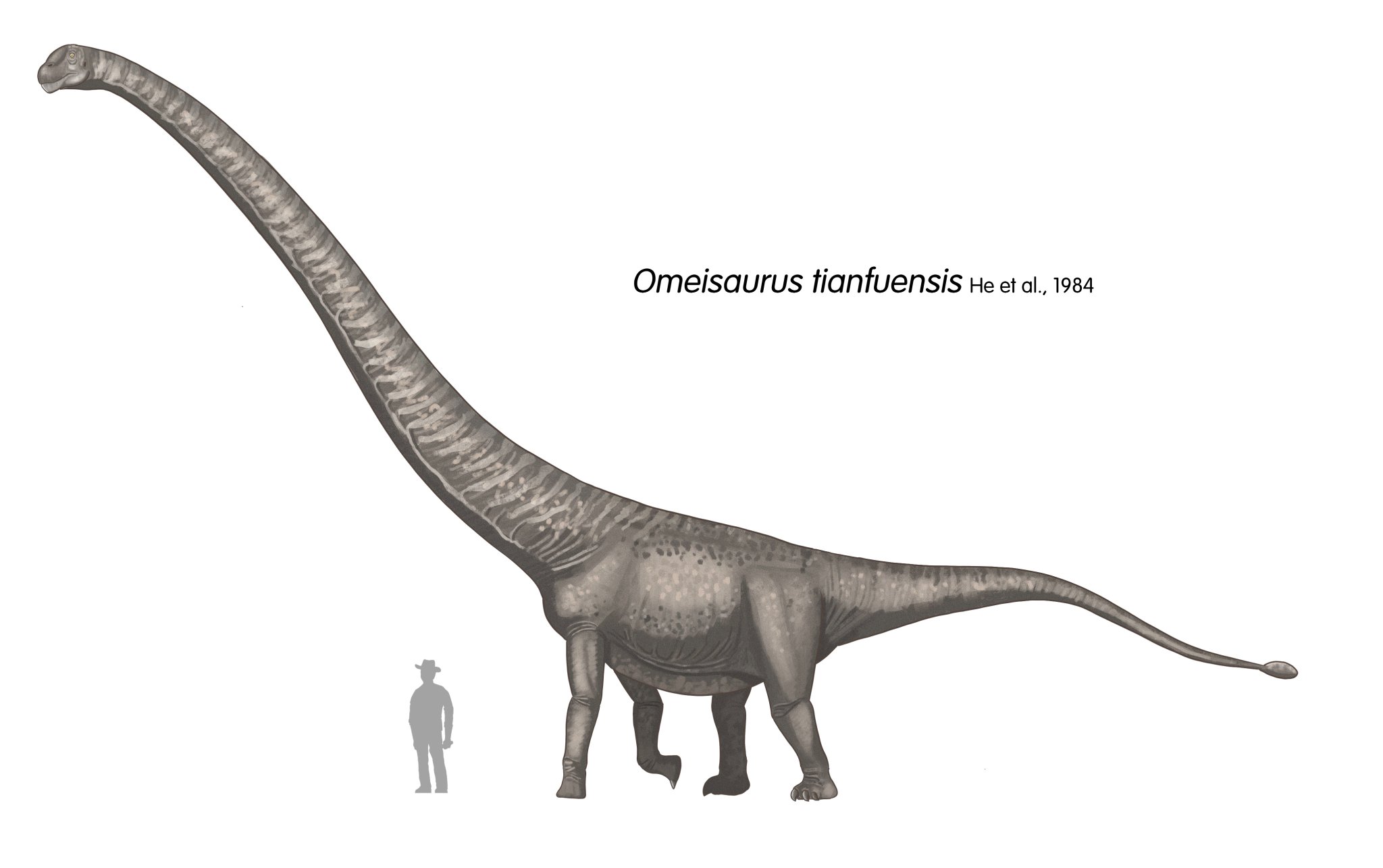 GptxBc5bAAAx5sC.jpg:large