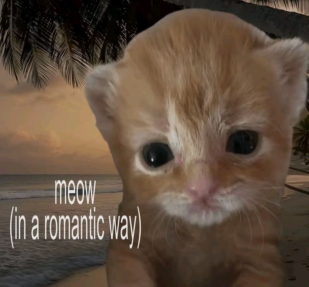 mei 𝝑୧ (slow) tweet media