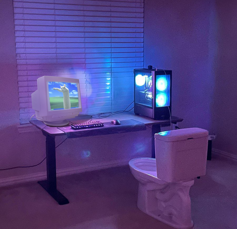 Nobiko Coin のびこコイン tweet media