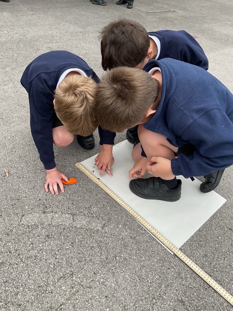 Today Team Venus investigated that plants disperse their seeds in lots of different ways. They learnt that some seeds are transported by wind, water, animals and some seed pods are designed to explode. Today we made a seed pod and watched how far our seeds dispersed.