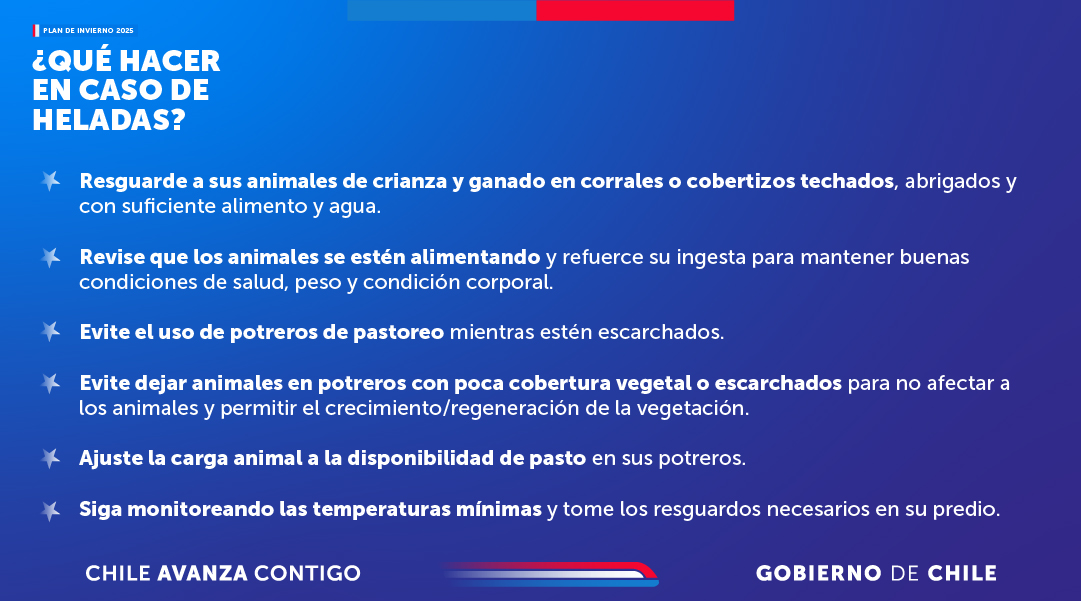 Ministerio de Agricultura de Chile 🇨🇱 (@minagricl) on Twitter photo ❄️⚠️Frente al pronóstico de <a href="/meteochile_dmc/">MeteoChile</a> de heladas superficiales entre las regiones de La Araucanía y Los Lagos para este miércoles 30 de abril, te entregamos las siguientes recomendaciones preparadas por la Unidad de Gestión de Riesgo de Desastres Agrícolas (UGRA) del ❄️⚠️Frente al pronóstico de <a href="/meteochile_dmc/">MeteoChile</a> de heladas superficiales entre las regiones de La Araucanía y Los Lagos para este miércoles 30 de abril, te entregamos las siguientes recomendaciones preparadas por la Unidad de Gestión de Riesgo de Desastres Agrícolas (UGRA) del