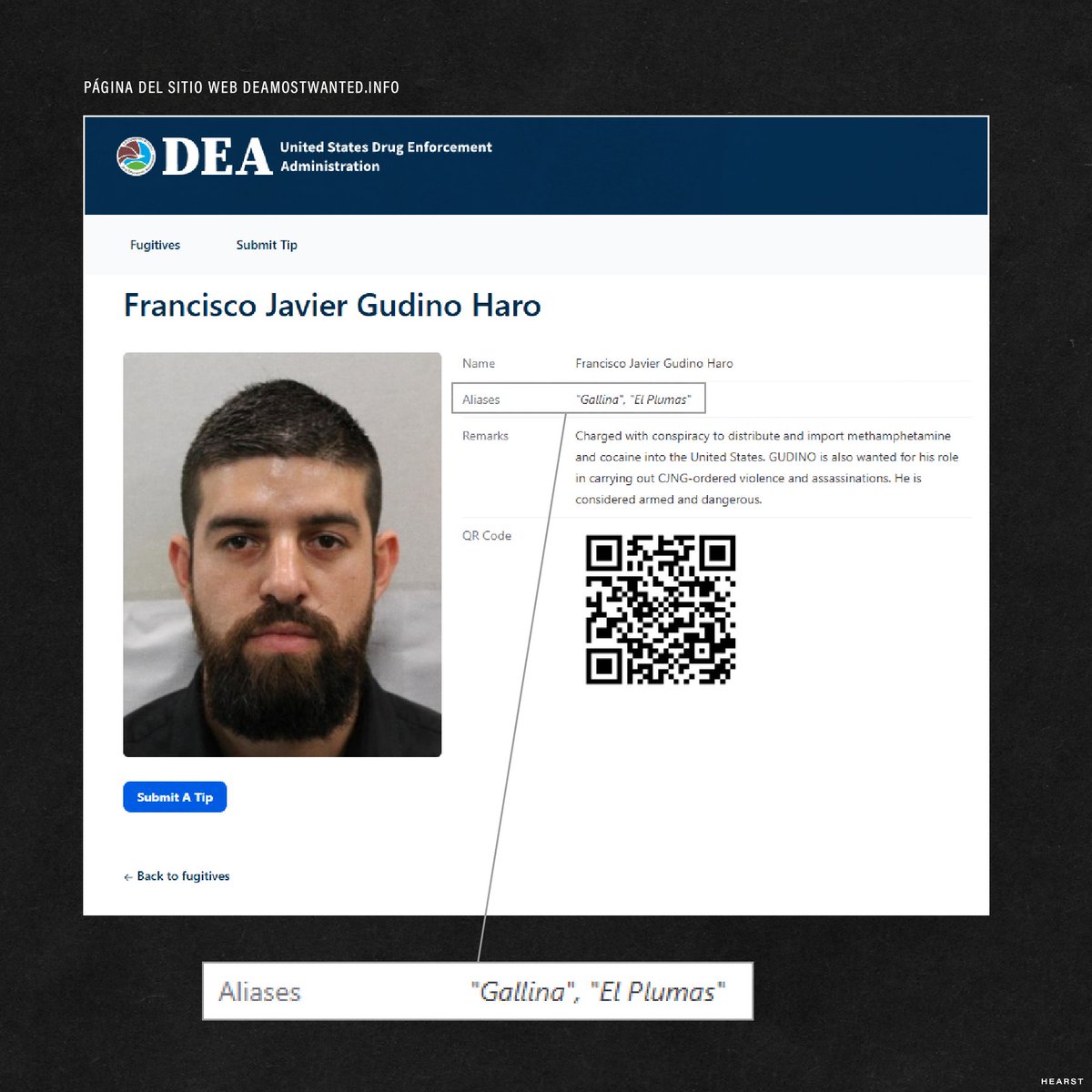 HEARST_BB's tweet photo. Se han añadido a la imagen de perfil más imágenes de Francisco Javier Gudiño Haro, alias "La Gallina", del CJNG. Imágenes subidas por @sonorainformat.

La DEA estadounidense parece haber confirmado que La Gallina utiliza actualmente el alias "El Plumas", incluido en uno de sus sitios web (https://t.co/bRx6em5ZW4) para obtener pistas.

Esto significa que corridos recientes como "El Plumas" de Junior H, "El Plumas" de Neton Vega y Luis R. Conríquez, "El Plumas" de Remp y "El Primo" se refieren a Gudiño Haro.

Sus corridos hacen referencia al sucesor del Mencho, Juan Carlos Valencia González, alias "El 03", y parecen insinuar que el brazo armado Los Deltas trabaja actualmente bajo las órdenes de El 03, además del Grupo Élite - también conocido por trabajar bajo las órdenes de El 03.
—
More images showing Francisco Javier Gudino Haro, alias “La Gallina”, from the CJNG, have been added to the profile image. Images uploaded by @sonorainformat

The US DEA has seemingly confirmed that La Gallina is currently using the cartel alias “El Plumas”, listing out “El Plumas” as one of his aliases on one of the DEA websites (https://t.co/bRx6em5ZW4) meant to encourage tips.

This means that recent corridos like El Plumas by Junior H, El Plumas by Neton Vega & Luis R Conriquez, El Plumas by Remp & El Primo are about Gudino Haro.

His corridos give shout out to Mencho’s successor Juan Carlos Valencia González, alias “El 03”, and seem to imply that the armed wing Los Deltas currently works under El 03, in addition to Grupo Elite - who are also known to work under El 03.
