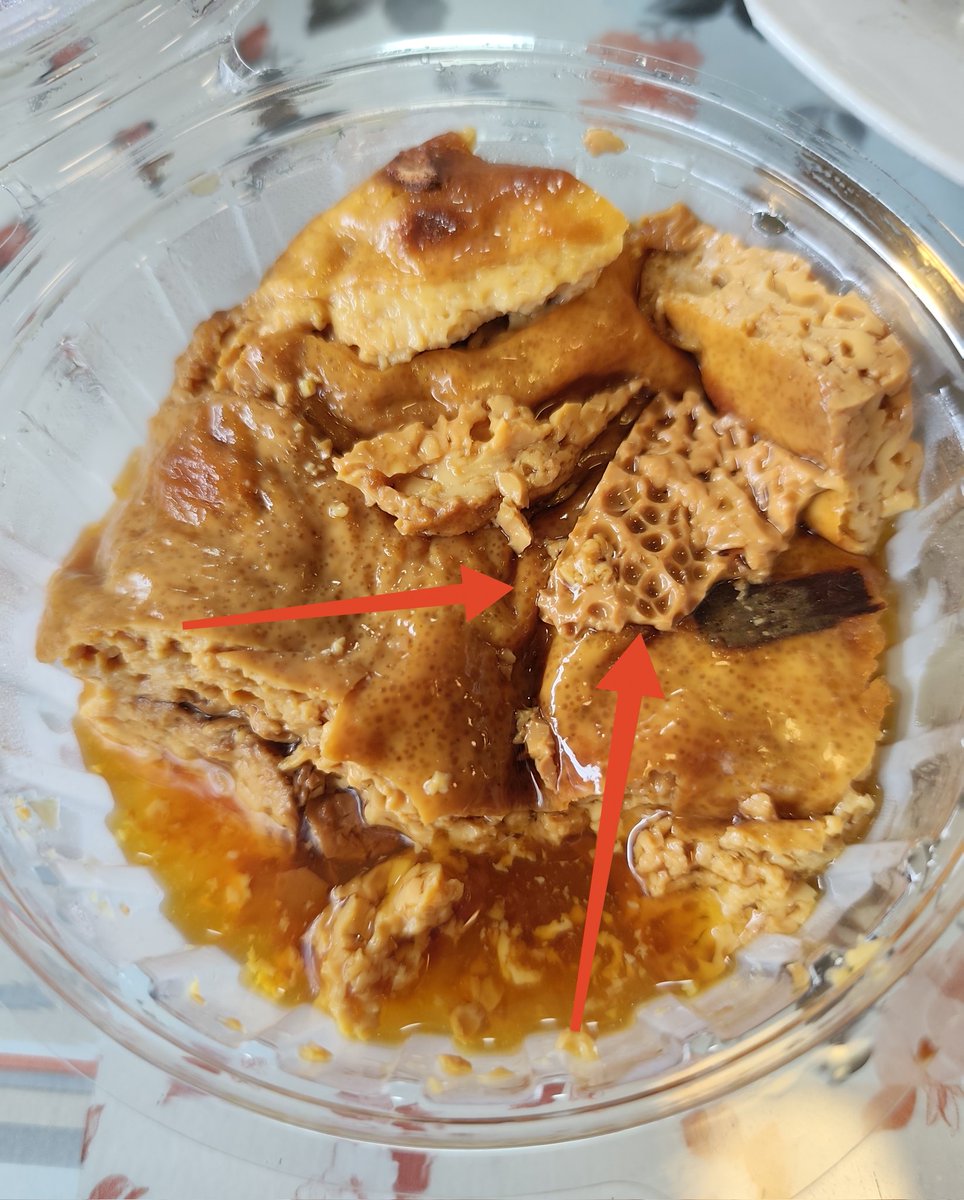 jcrivasferr's tweet photo. In biology, function follows form, and form follows function. At the #lung level, not everything is what we think it is.
¿How does #baked #milk resemble the lung's #alveoli? 🤪🤓🧬🫰🤪🤪🔬🐁🐁
#AT2 #CD44 #pneumocytes that co-express #Axin-2 and #Sca-1 through the #Wnt/#β-#catenin #pathway, could be the precision biological therapy and epithelial regeneration for #Pulmonary #Fibrosis and #Emphysema in the future?
During the week, as I ate my baked milk dessert and observed it closely, my mind associated the dessert's morphology with the #alveolar #microstructure. It's crazy, but I tend to always #associate structures and cells with things and objects in nature and my environment; believe me, it's a good technique!! 🤪✌️. 👇👇👇📖📚
@AHAScience @APSPhysiology @IJMS_MDPI @AlisaAn46097029 @HaoYin20 @LungCancerEu @ChrisBursill @ChrStaehr @CMPLPUCCHILE @LuisSobrevia2 @SocFisiolChile @secardiologia @physoc @TheIUPS @CirugiaTorax @ALACFdifusion @FacMedicinaUC @Ahmed43101178 @SCICambridge