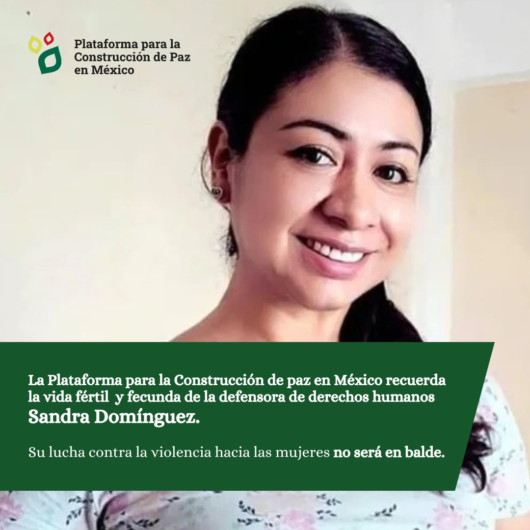 La Plataforma para la Construcción de paz en México comparte la indignación de sus organizaciones parte por el homicidio de la defensora de derechos humanos Sandra Domínguez y hace un llamado a las autoridades a esclarecer los hechos relacionados con su desaparición y asesinato.