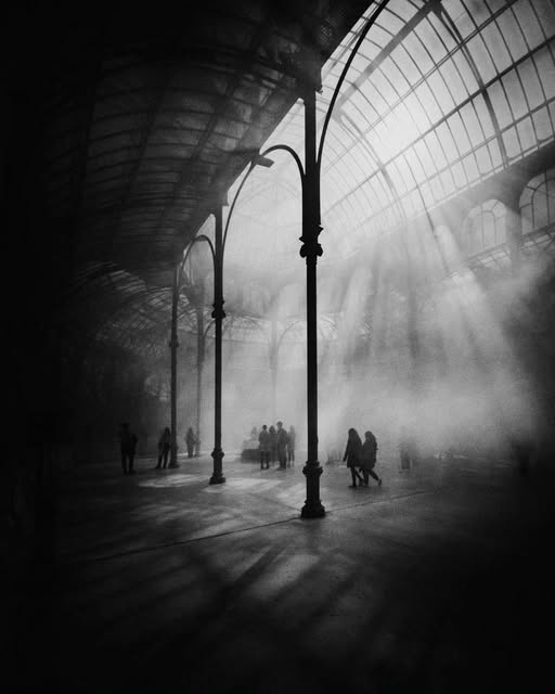 Image of the Day from Madrid, 
2024 by João Cabral