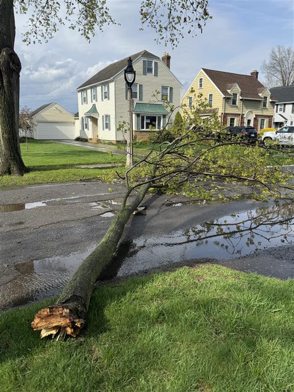 RGandE's tweet image. Falling trees are the leading cause of power outages. While this fallen tree limb in the Town of Irondequoit didn’t cause an outage, we are actively responding to several outages in RG&E territory. Stay updated with all outage developments by ow.ly/Stgm50VK4ex