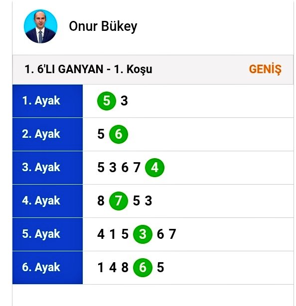 Horseshoe Indianapolis 1.Altılı Ganyan 33.451,82TL ikramiye takipçilerimize hayırlı olsun.