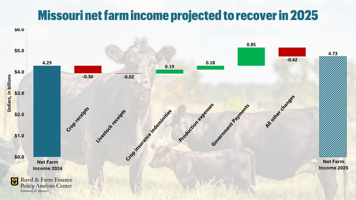 The First Spring Farm Income Report is here!

RaFF’s Spring 2025 Missouri Farm Income Outlook projects a 9% increase in net farm income, reaching $4.69B. 

Read the full report and access the data here:  ruralandfarmfinance.com/farm-income/