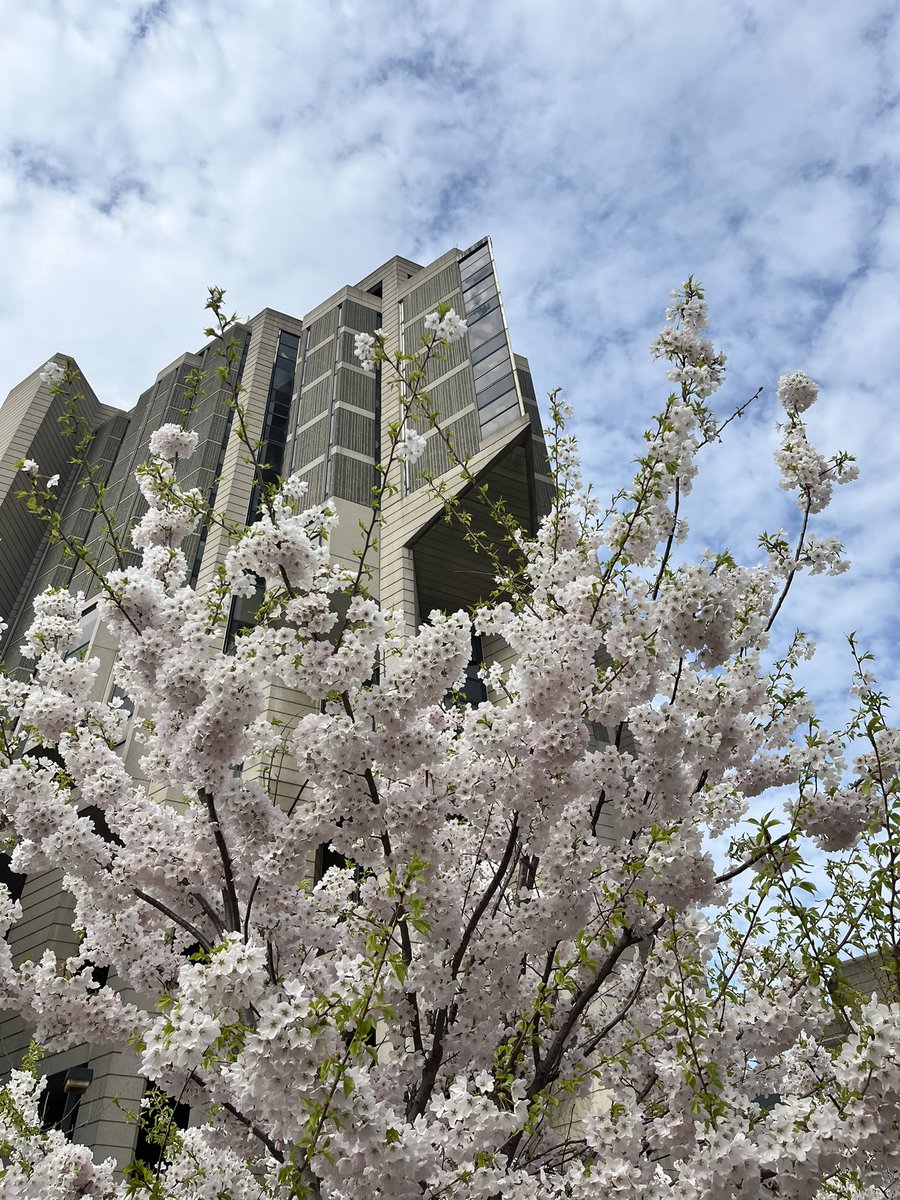 阿特拉斯不换肩 (@jaycheung1989) on Twitter photo 