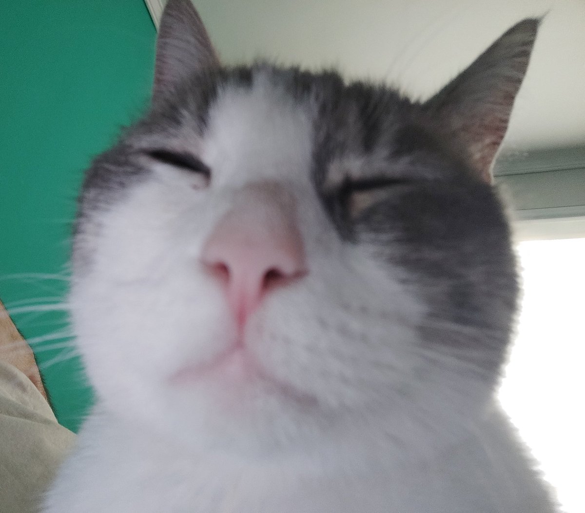 CristianGhost_'s tweet image. 