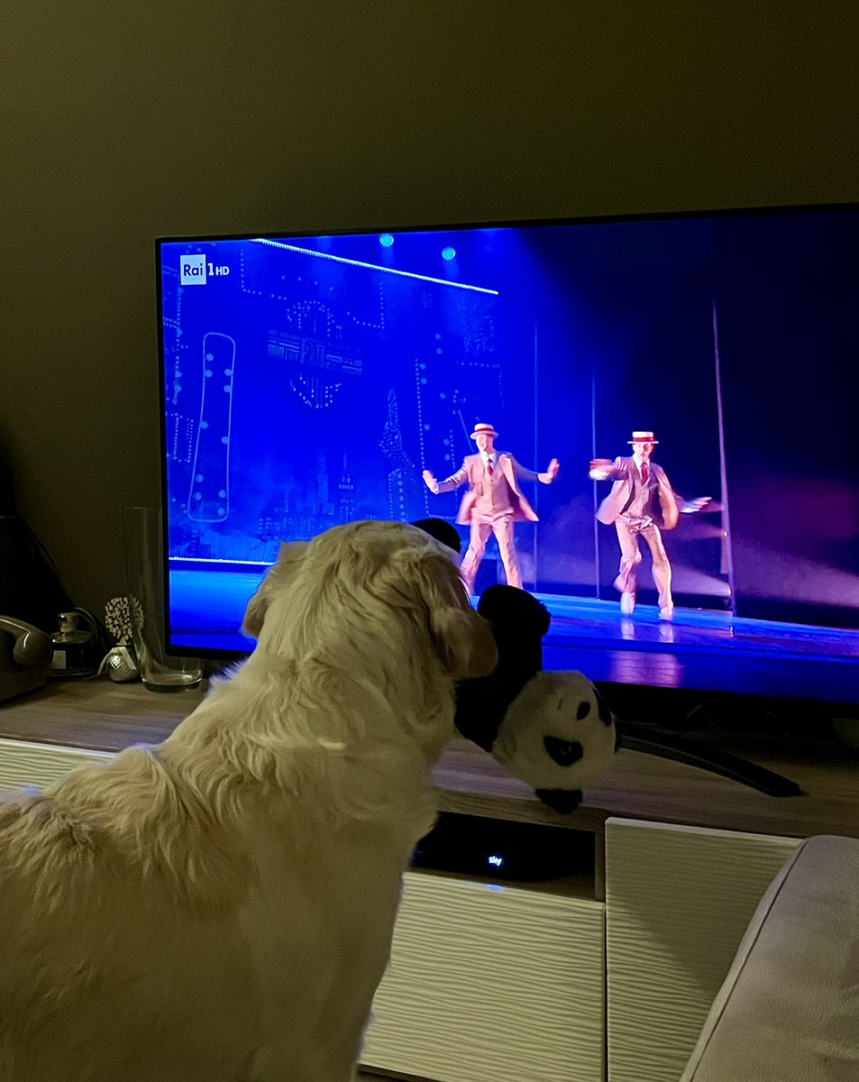 Marta Alberti tweet media