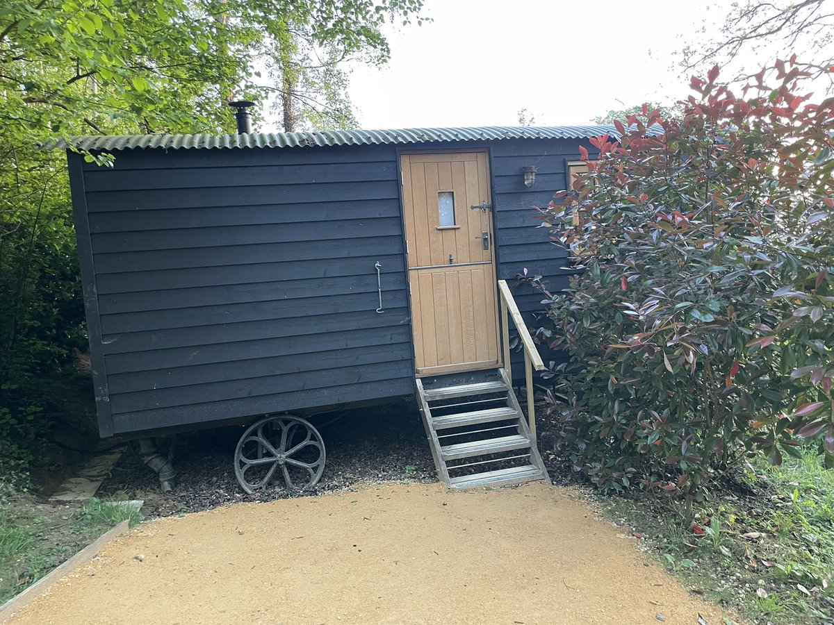 bill pollard tweet media