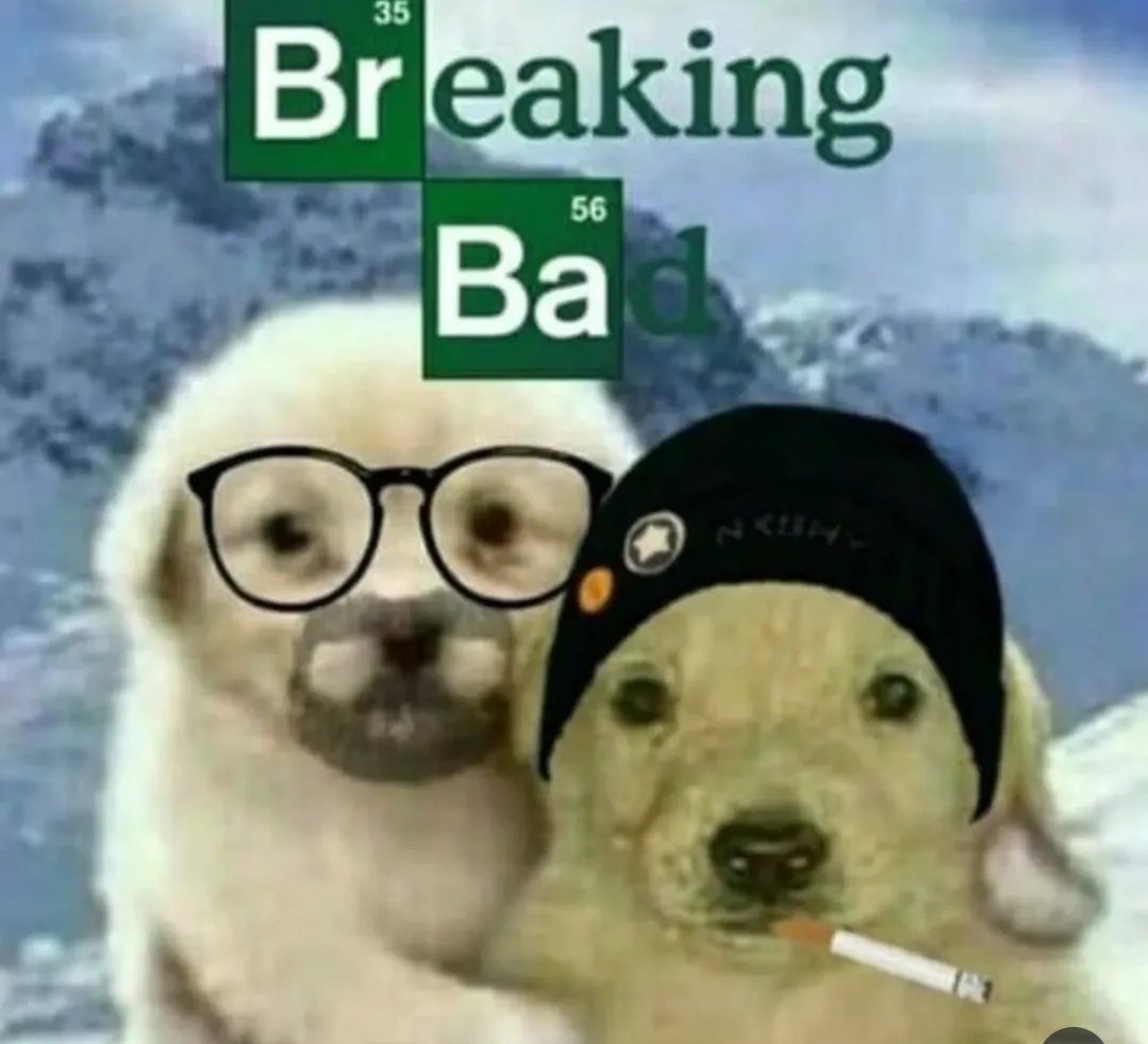 Better Call Saul & Breaking Bad Irony (@saulirony) on Twitter photo 