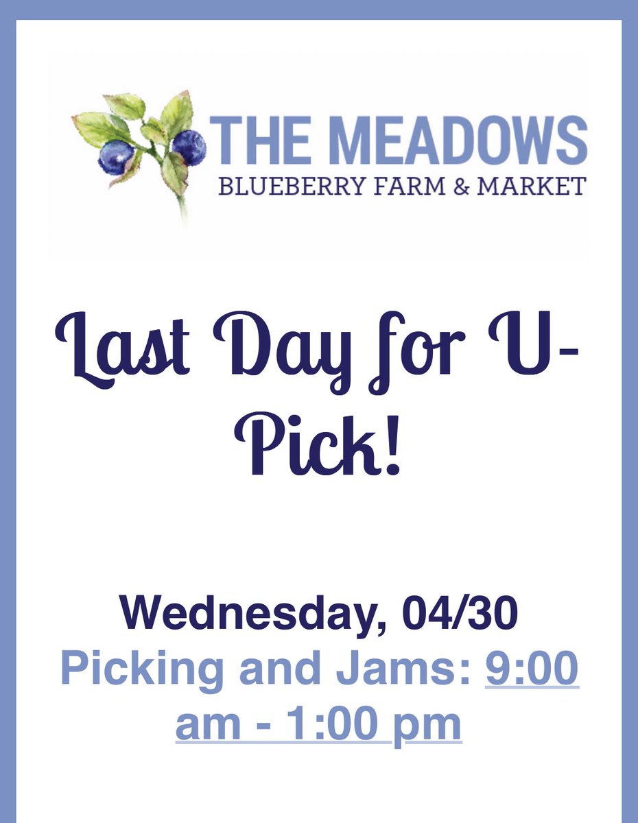 Meadows Blueberry Farm (@meadowsbbfarm) on Twitter photo 