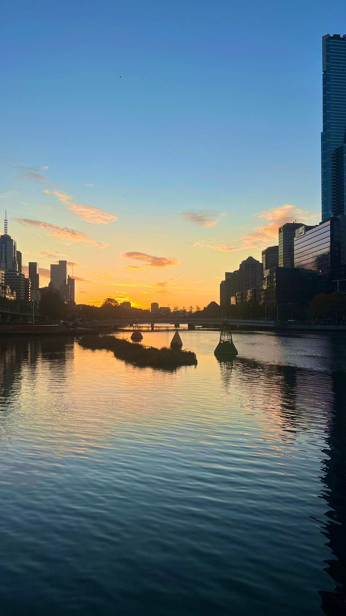 Morning all x gorgeous morning in Naarm looking up Birrarung 🖤💛❤️ I hope you are all well and safe, and I hope you all get a moment of peace today x sending all the hugs to those that need them x have a great day all x #AlwaysWasAlwaysWillBe