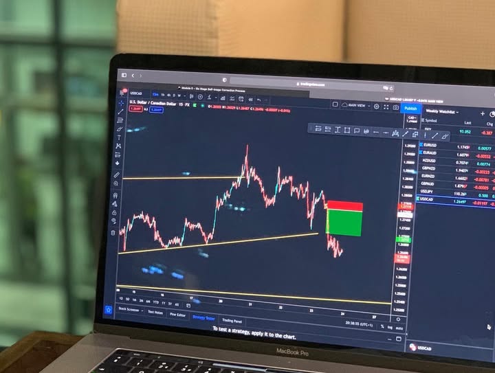 ClintonJake986's tweet image. Direction is more important than speed🔮

Many of these goals that i have in my vision have been in the works for years 🖊 

No matter what resistance I have faced I overcome each hurdle in front of me.

Any rational person would give up, especially with the pressure.

When you