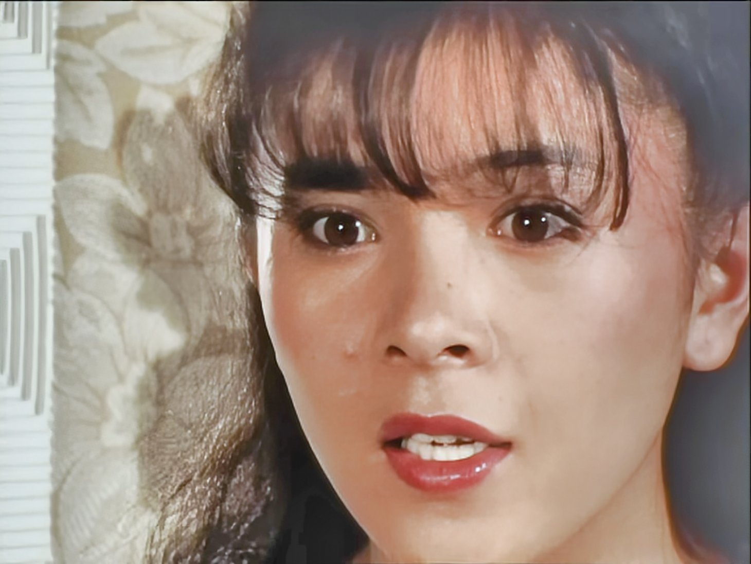 太陽戦隊サンバルカン 根本由美 直筆サイン色紙 & 当時物面子 11種 太陽戦隊サンバルカン 根本由美 直筆サイン色紙 & 当時物面子 11