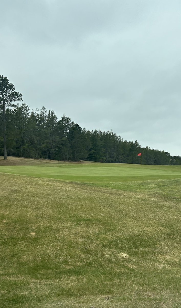 Restarted the golf factory today