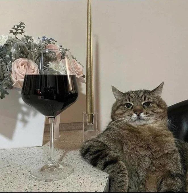 loww❤️🤍 tweet media