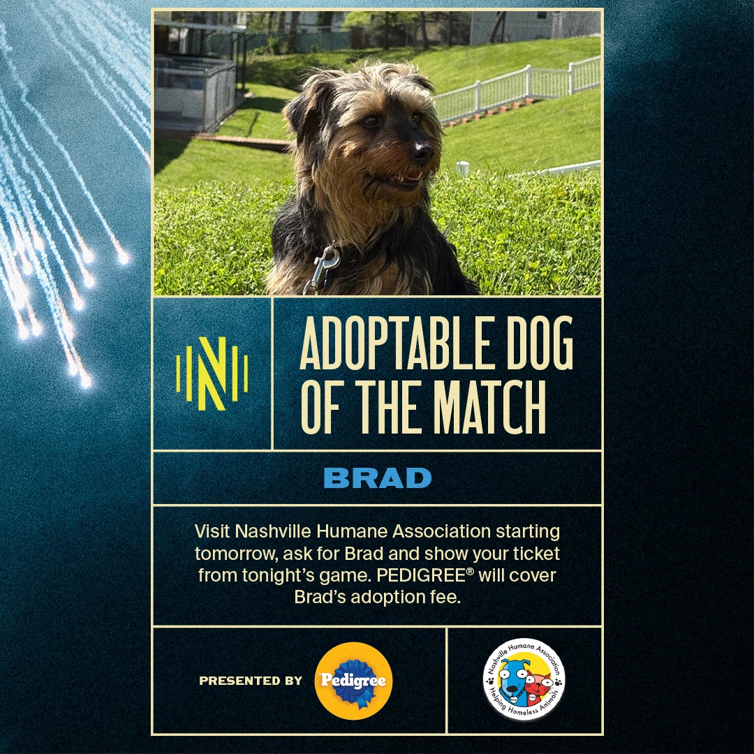 Nashville SC tweet media