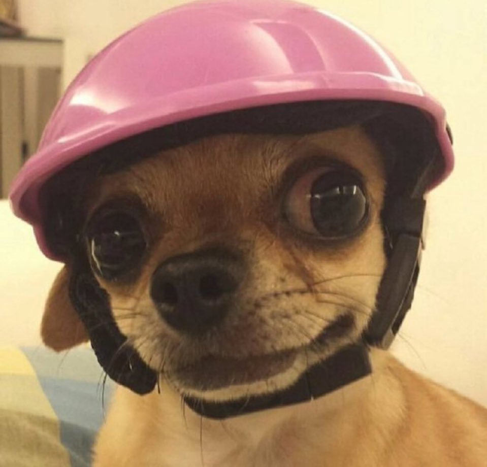 ใส่หมวกกันน็อคไปไหน