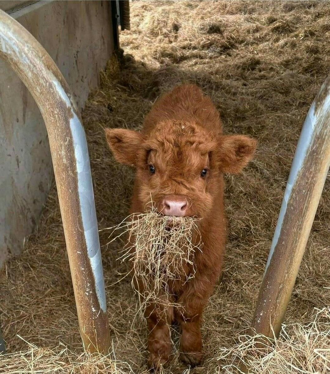 หม่ำหม่ำอิ่มอิ่ม
