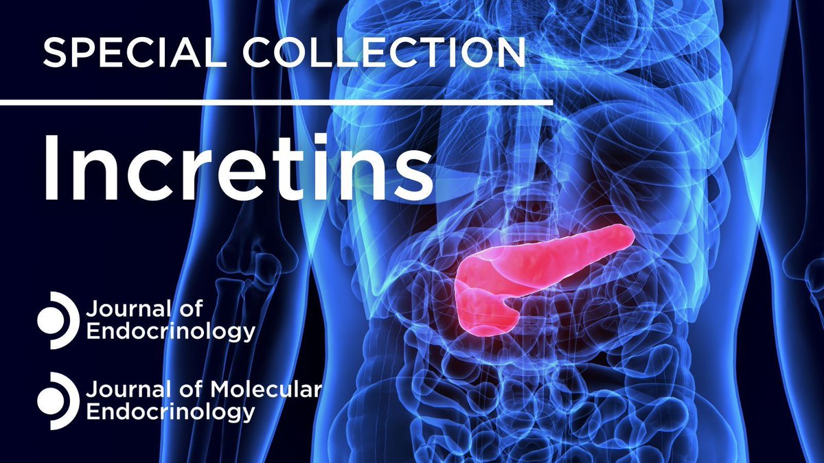 JEndocrinology's tweet image. Read the latest article in Journal of Endocrinology's #Incretins Special Collection:
📍 The effects of GIP, GLP-1 and GLP-2 on markers of bone turnover: a review of the gut–bone axis
By Miriam Longo et al.
👉 doi.org/10.1530/JOE-24…