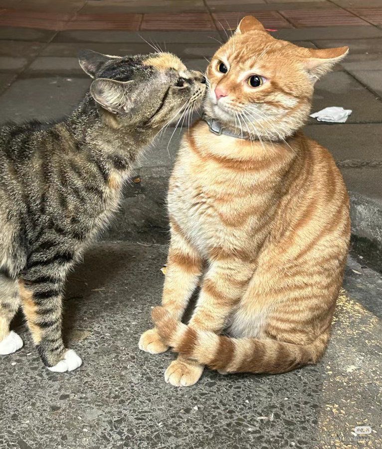 อยู่อยู่มาจุ๊บเราทำไมเราตกใจ