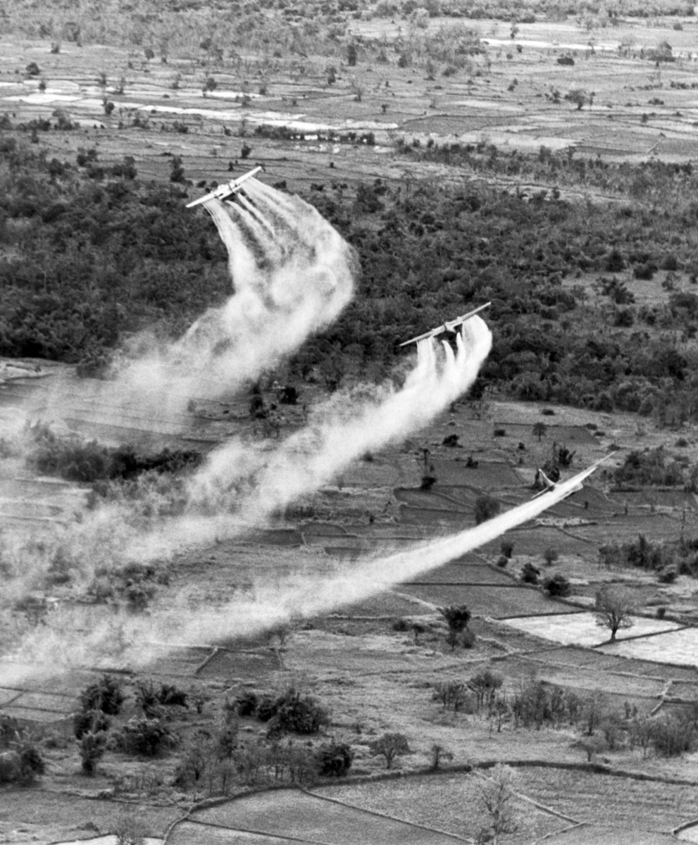 paolacip's tweet image. Vietnam, 50 anni fa la caduta di Saigon. Ma l’Agente Arancio uccide ancora - la Repubblica repubblica.it/esteri/2025/04… @gianlucamodolo @sdilellis