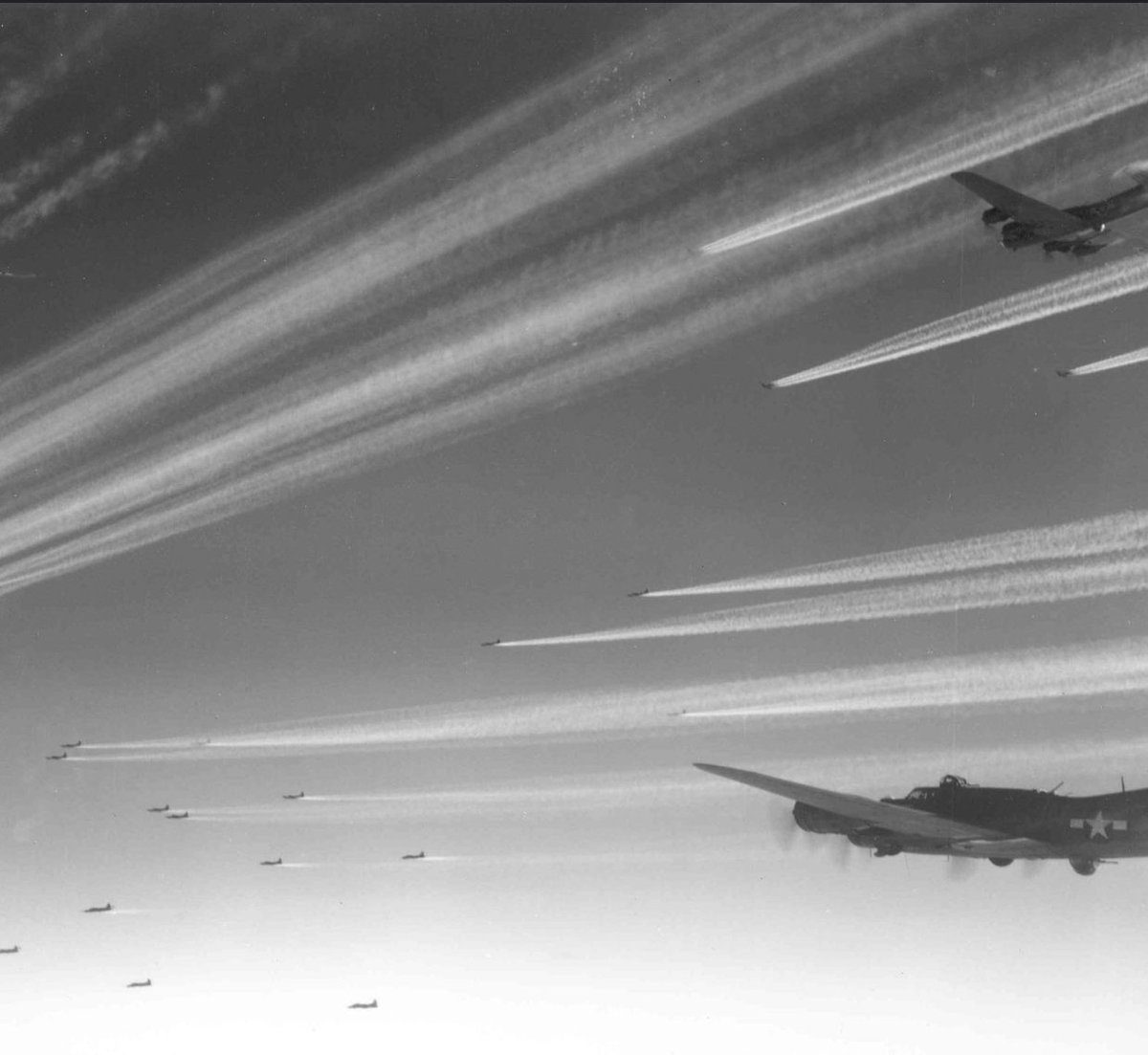 Nigel Cartwright tweet media