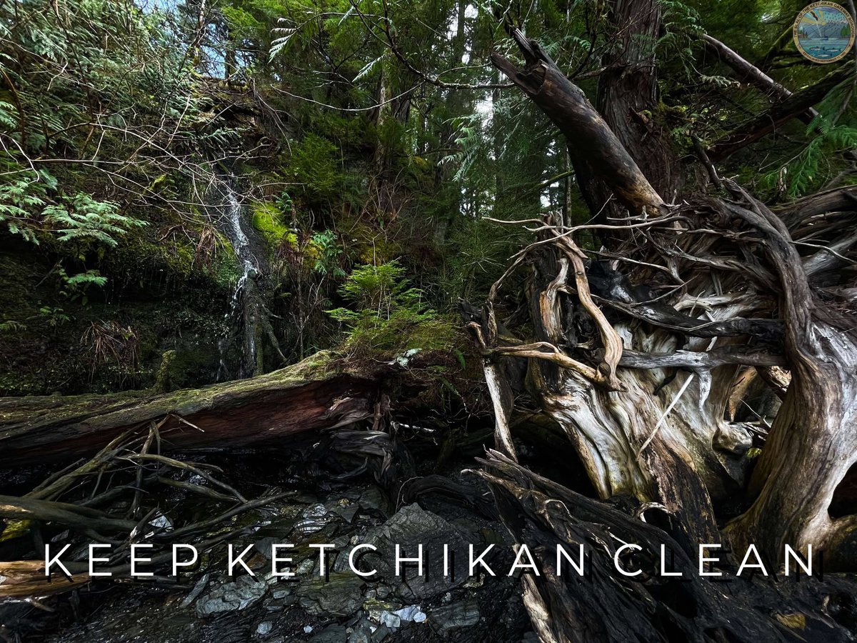 🌿As the weather continues to warm and more people head outdoors to enjoy Ketchikan’s beautiful landscapes and parks please remember to Keep Ketchikan Clean.

Whether you’re hiking, camping, or just out for a stroll, what you bring in, take out. 

#EnjoyResponsibly