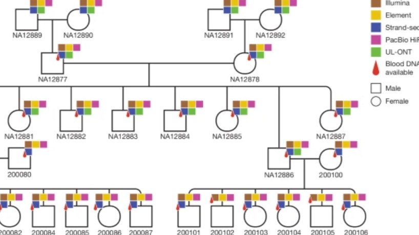 CU Department of Biomedical Informatics (DBMI) (@cubiomedinfo) on Twitter photo New research from <a href="/hdashnow/">Dr Harriet Dashnow</a>, <a href="/UofUHealth/">University of Utah Health</a>, <a href="/UW/">University of Washington</a> and <a href="/PacBio/">PacBio</a> shows that parts of the human genome change much faster than was previously known, laying the foundations for new insights into the roots of human disease and evolution. Learn more ➡️ go.nature.com/4lGMPlP New research from <a href="/hdashnow/">Dr Harriet Dashnow</a>, <a href="/UofUHealth/">University of Utah Health</a>, <a href="/UW/">University of Washington</a> and <a href="/PacBio/">PacBio</a> shows that parts of the human genome change much faster than was previously known, laying the foundations for new insights into the roots of human disease and evolution. Learn more ➡️ go.nature.com/4lGMPlP
