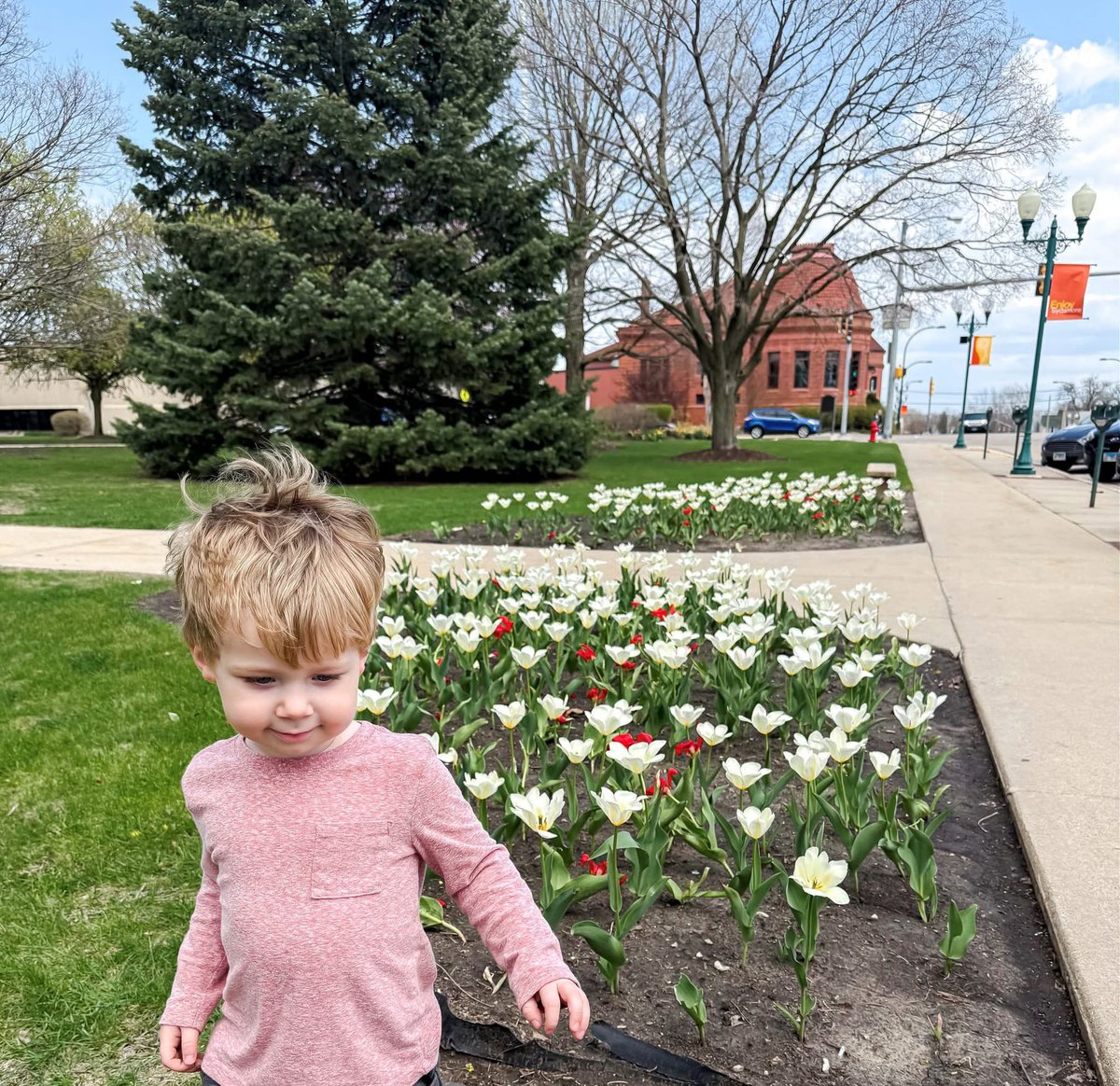 🌷 Spring has sprung in Downtown Sycamore! 🌞🌳 Tulips are blooming, little ones are exploring, and our charming town is bursting with color and life. Come take a stroll and soak in the season! 💐✨ #SpringInSycamore #DowntownSycamore #discoversycamore