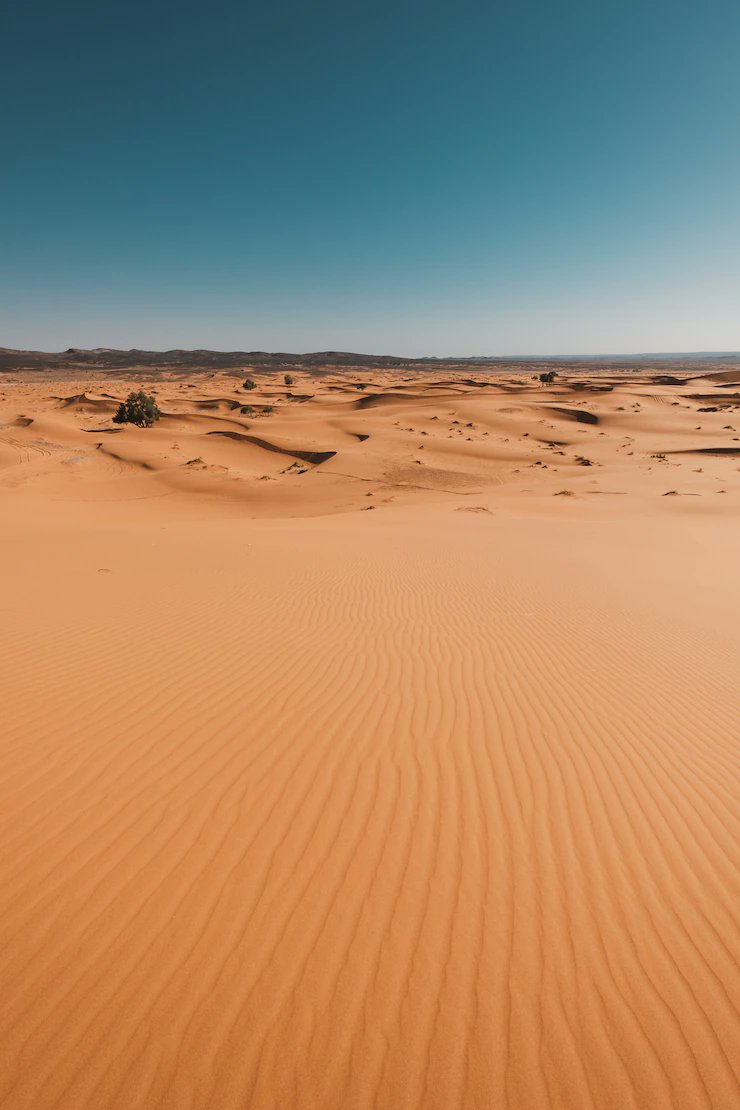 morocco___tours's tweet photo. Experience the beauty of Morocco's desert 🐪 #MoroccoDesertTour 
✅ Ride camels across the Sahara
✅ Camp under a blanket of stars
✅ Visit charming Berber villages
✅ Explore majestic desert oases
#GoToMorocco #DesertWanderlust #TravelMorocco #BucketListAdventures https://t.co/f3M1GgsXgd